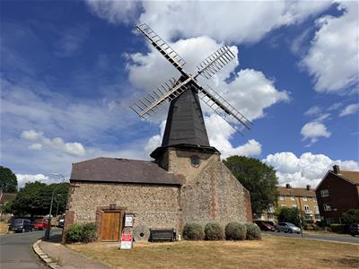 Picture 24